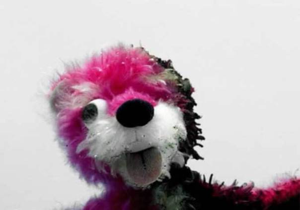 breakingbadteddy