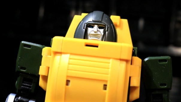 badcube-brawnybackland-07