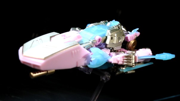 mmc-eupatorium-salvia-08