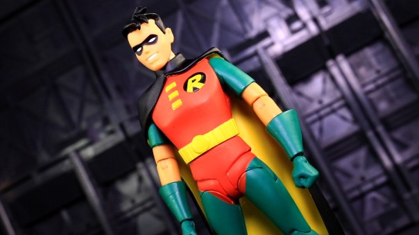 dcc-btas-robin-03