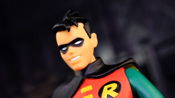 dcc-btas-robin-04