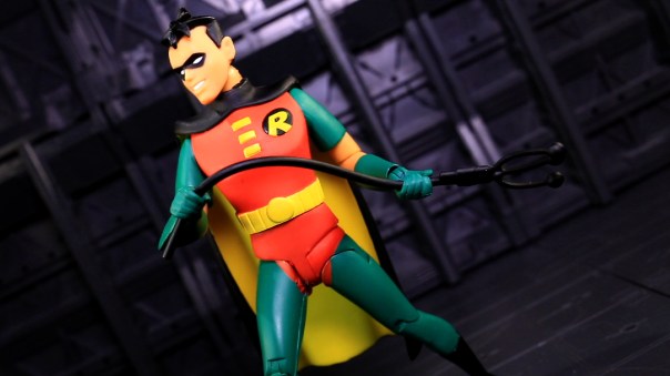 dcc-btas-robin-05