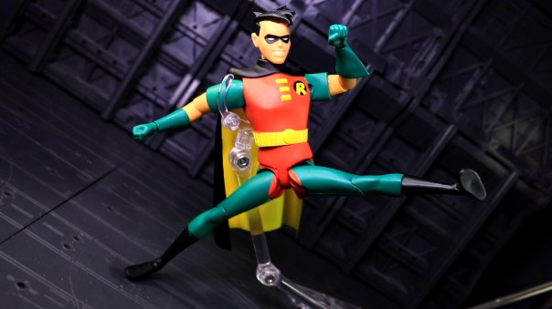 dcc-btas-robin-11