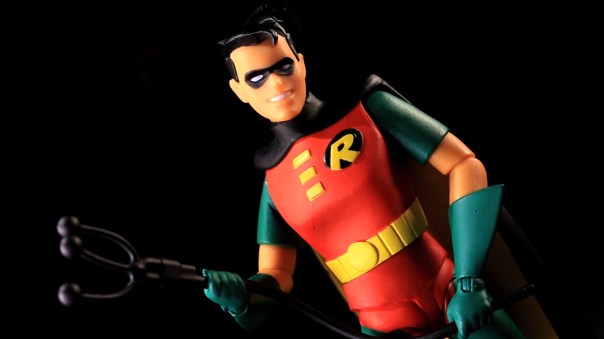 dcc-btas-robin-12